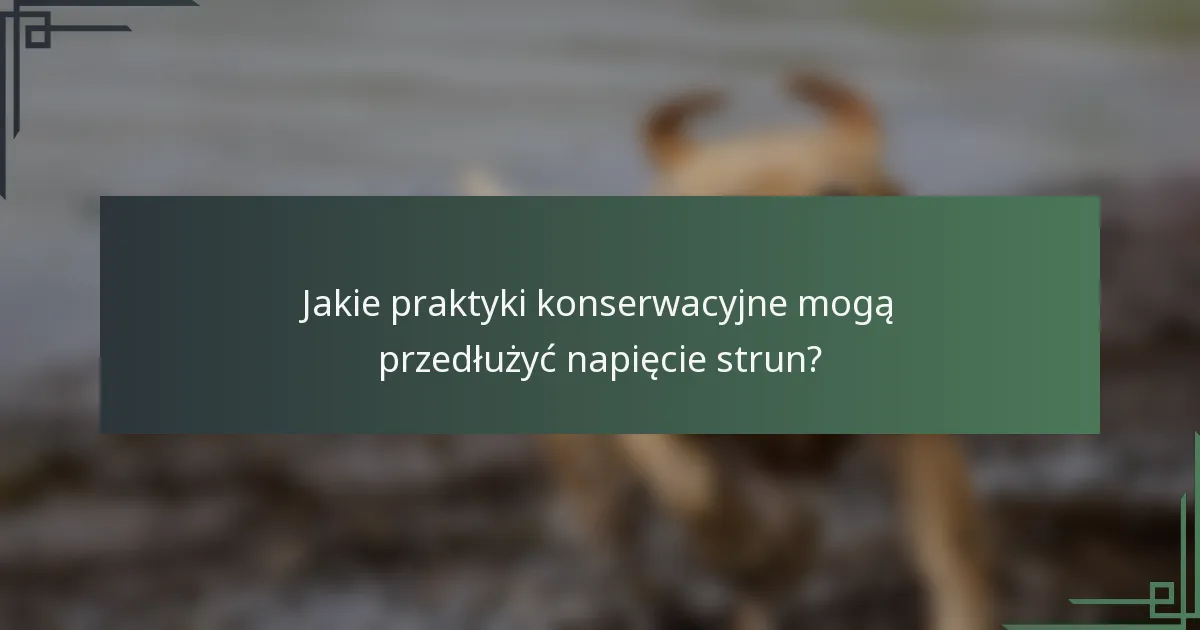 Jakie praktyki konserwacyjne mogą przedłużyć napięcie strun?